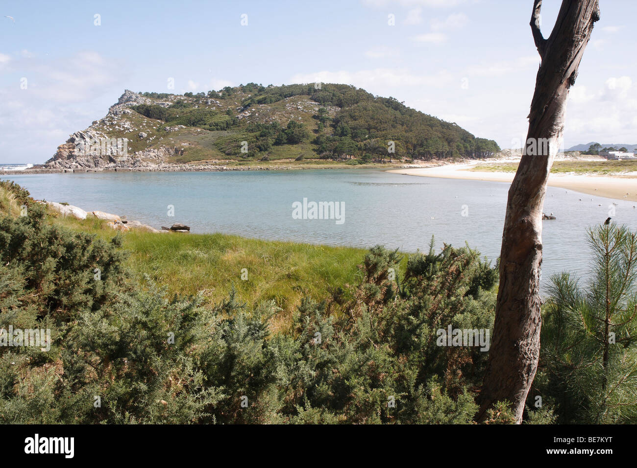 Isole Cíes. Islas Atlánticas Parco Nazionale. Provincia di Pontevedra. Spagna. Foto Stock