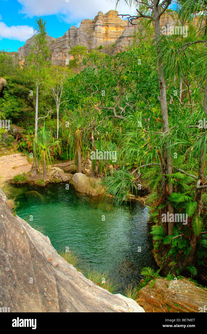 Bella piscina di acqua in Isalo National Park in Madagascar Foto Stock