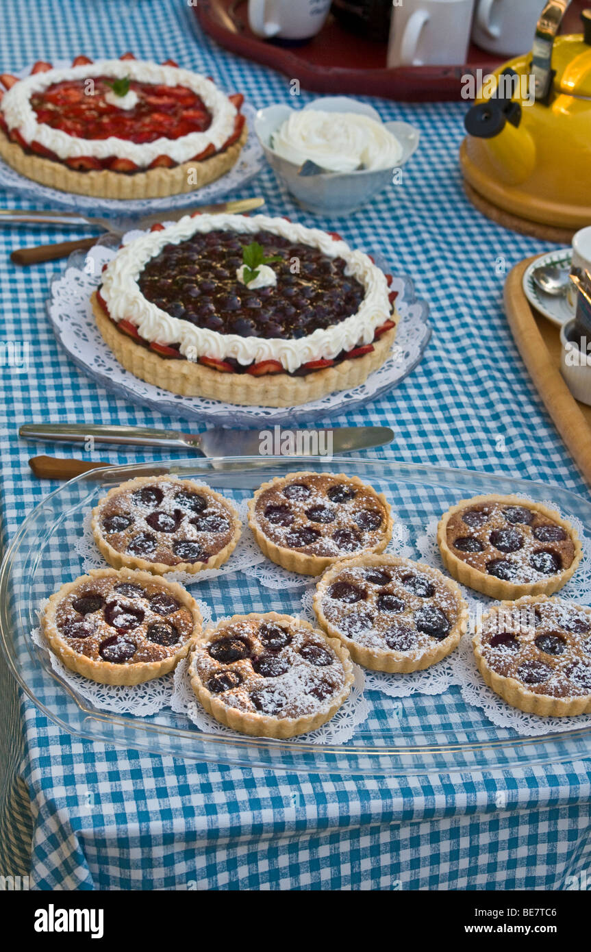 Zona picnic a buffet dessert mirtillo frutta fragola tort torta teiera Foto Stock