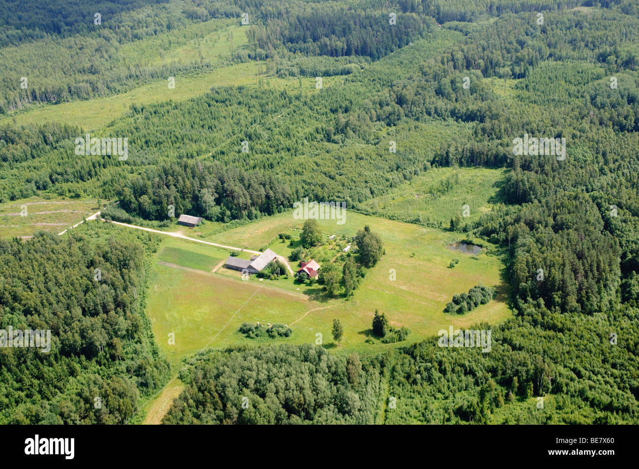 Farmland patch con cascina immersa nei boschi del nord della Lettonia Foto Stock