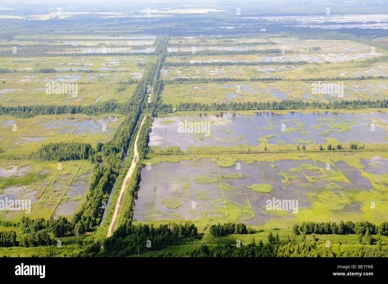 Riserva Naturale Palude Seda (ex miniere di torba appezzamenti inondati) da uccello del punto di vista Foto Stock