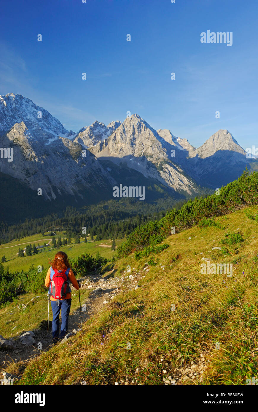 La donna scende al rifugio alpino Ehrwalder Alm con vista Griesspitze, Tajakopf e Ehrwalder Sonnenspitze, Mieminger Gebirge ra Foto Stock