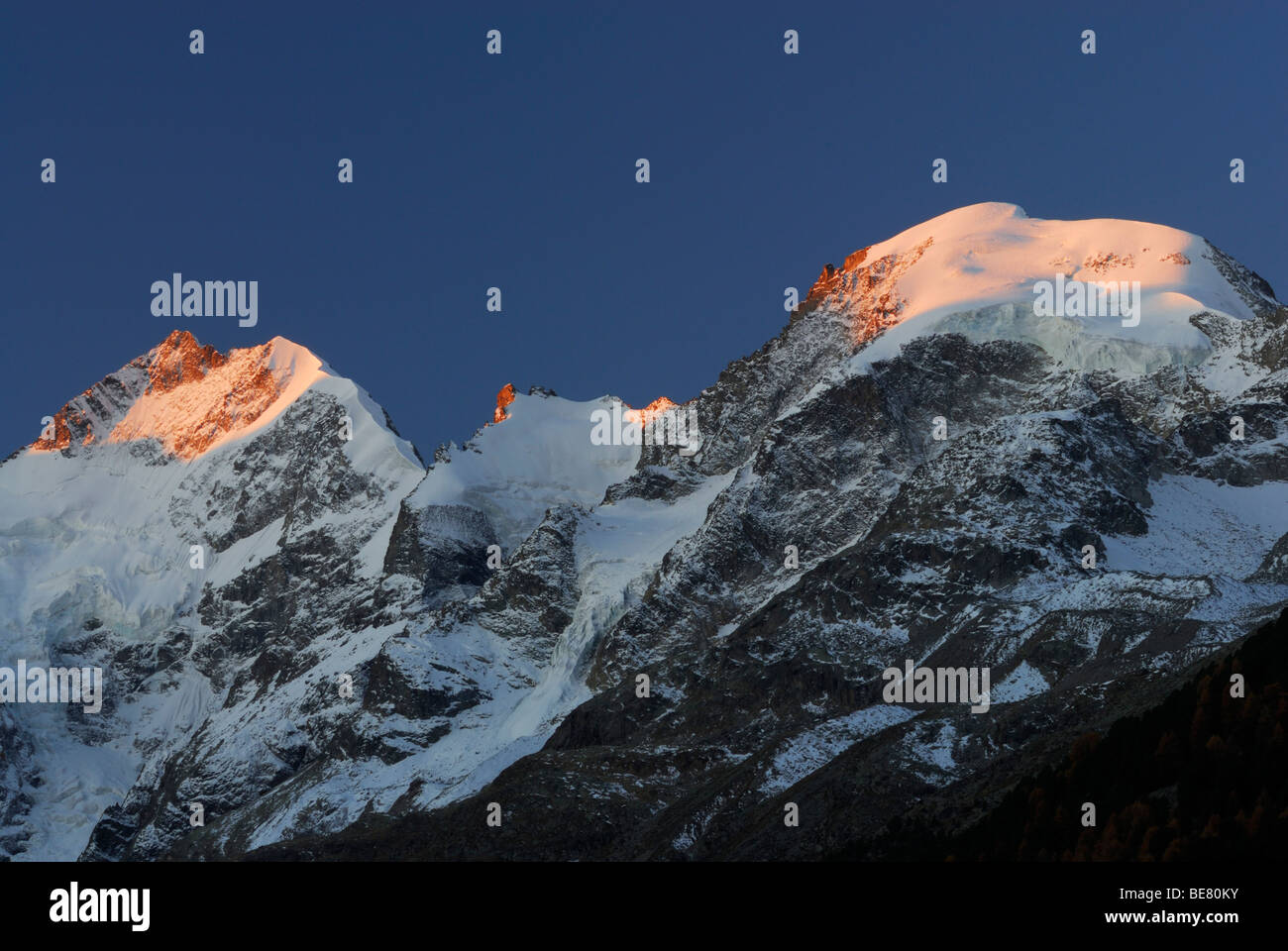 Il Piz Bernina con la cresta Biancograt Piz Prievlus e Piz Morteratsch in alpenglow, gamma Berninagruppe, Oberengadin Engadin, GRI Foto Stock