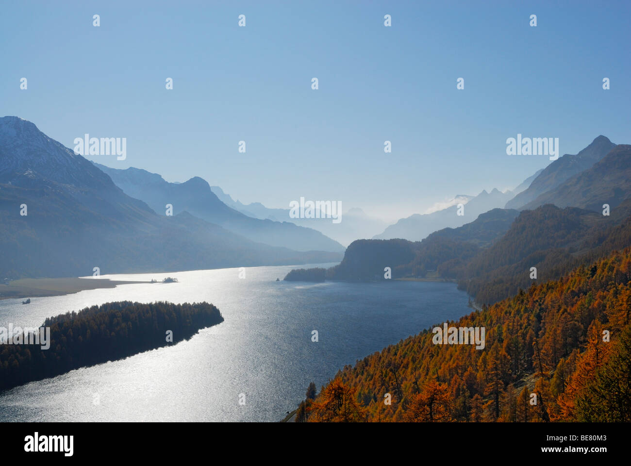 Vista lago Silser vedere con i larici in autunno colori, Oberengadin Engadin, Grigioni, Svizzera Foto Stock