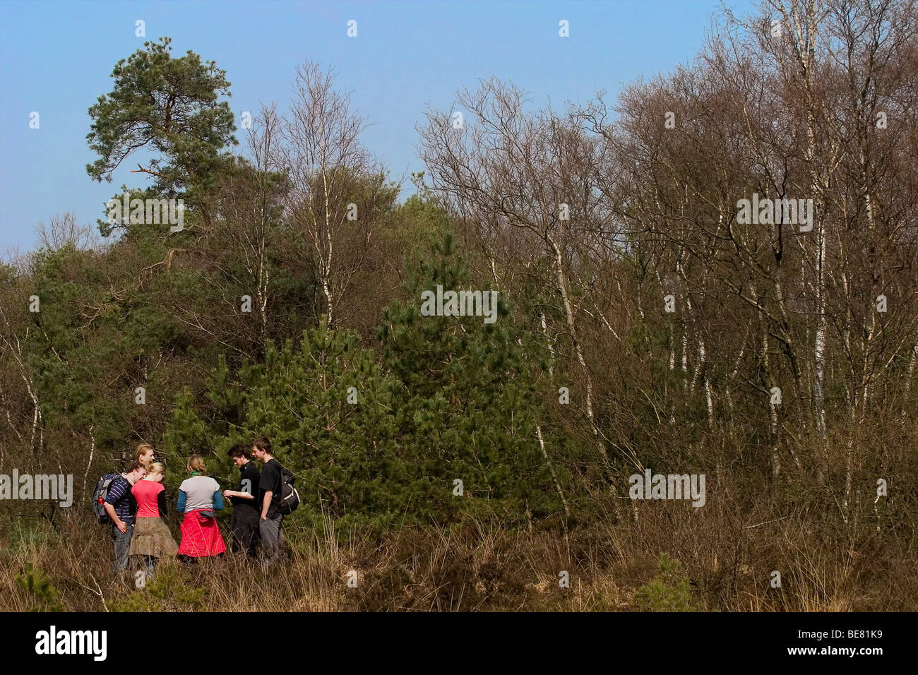 Jongeren staan te praten in een natuurgebied Foto Stock