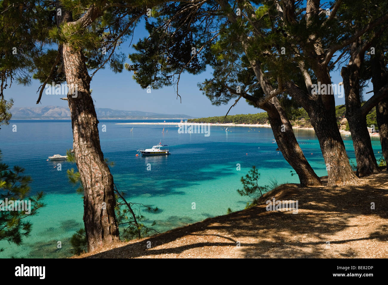 Visualizzare attraverso i pini in un soleggiato bay, Golden Horn, Bol, Isola di Brac, Dalmazia, Croazia, Europa Foto Stock