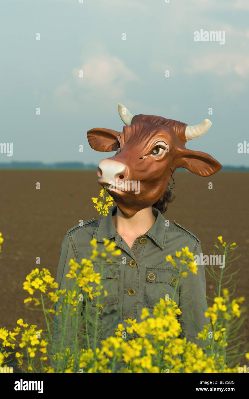 Persona che indossa la maschera di vacca, fingendo di pascolare nel campo di fiori selvatici Foto Stock