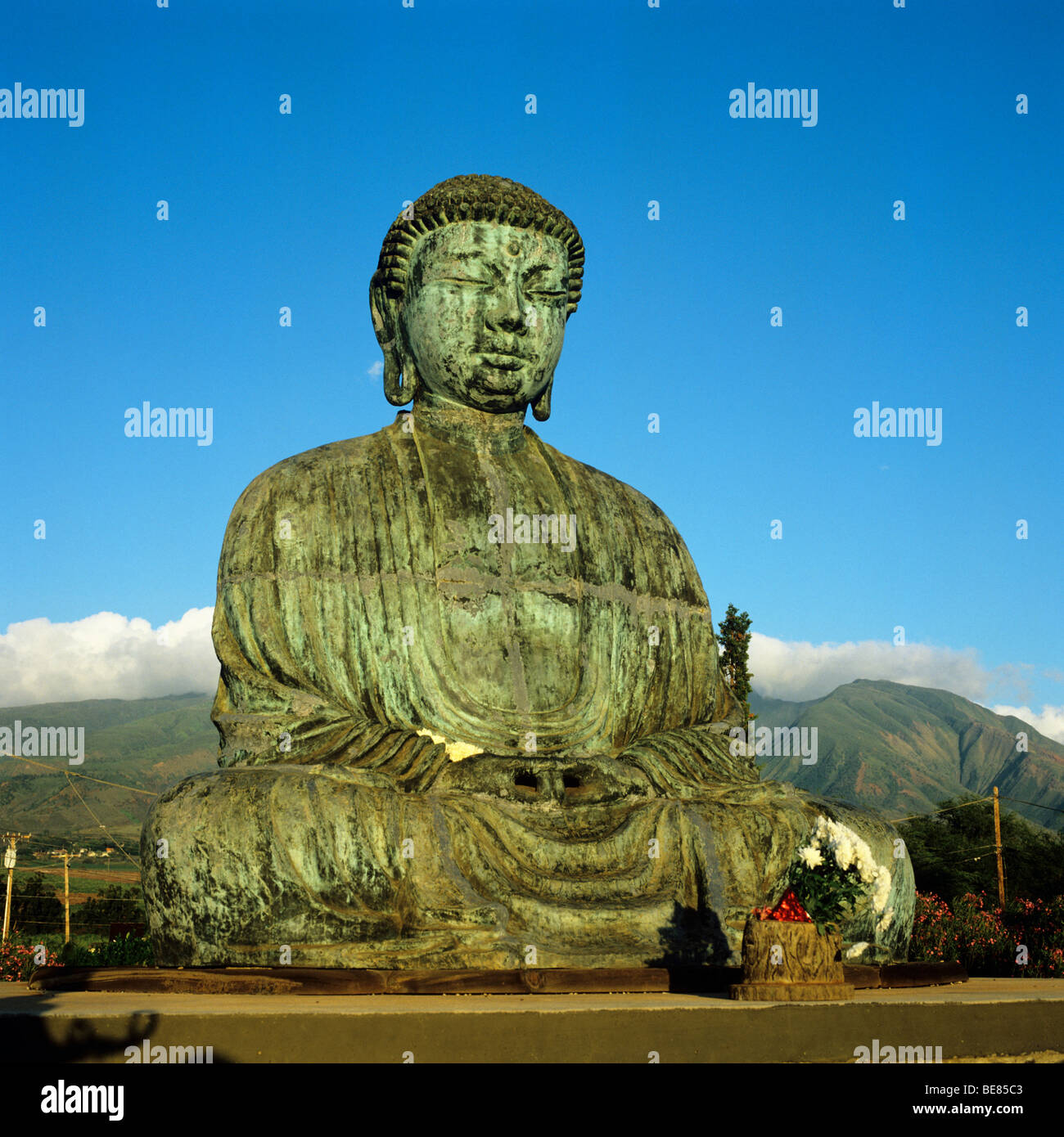 Bronzo gigante Buddha a Jodo Misson s Parco culturale sull'isola hawaiana di Maui Foto Stock