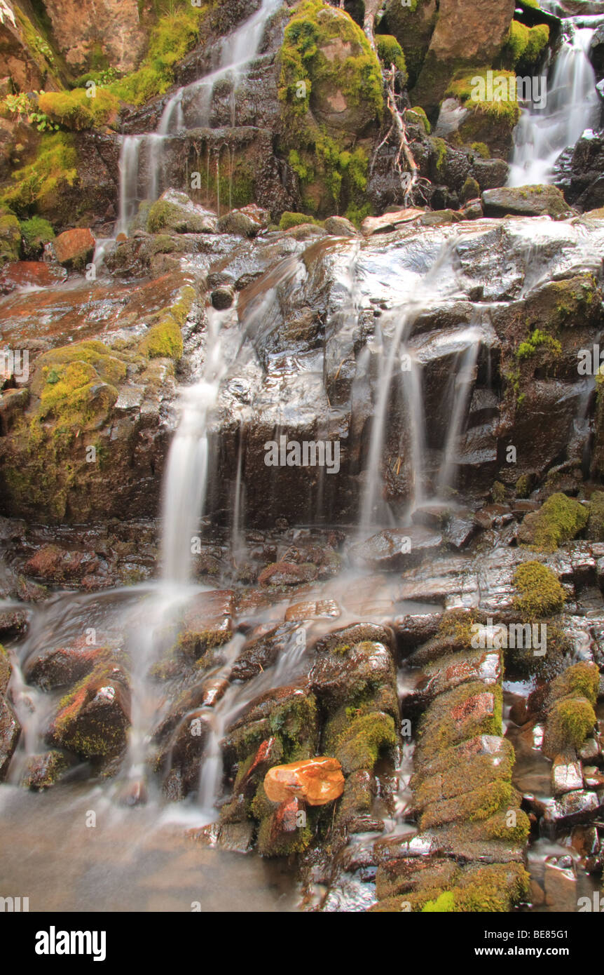 Cascate rocciose a Kananaskis Country Foto Stock