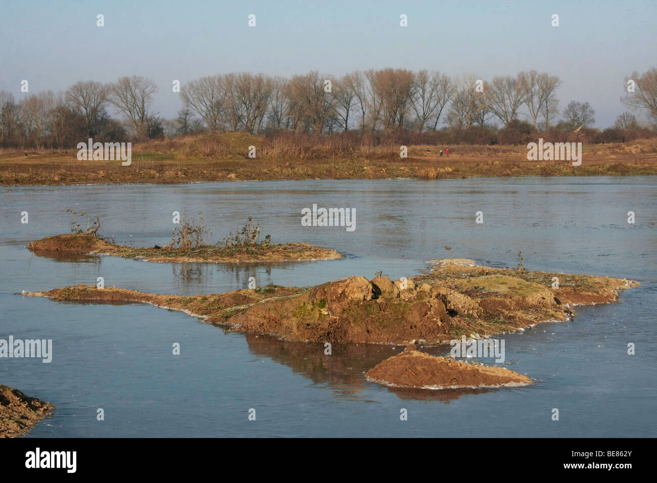 Uiterwaarde Waal, bevroren overgestroomd gebied op een kraakheldere winterdag; congelate wetland, lungo le sponde del fiume Waal Foto Stock