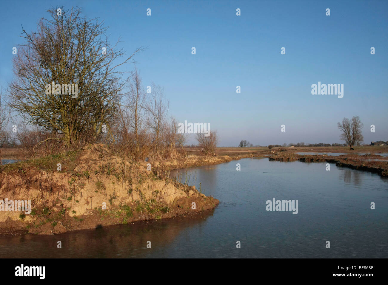 Uiterwaarde Waal, bevroren overgestroomd gebied op een kraakheldere winterdag; congelate wetland, lungo le sponde del fiume Waal Foto Stock
