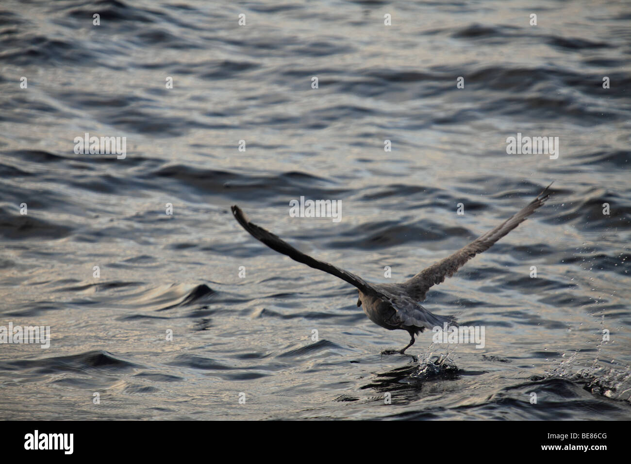 Fulmer decolla / Terreni in mare Foto Stock