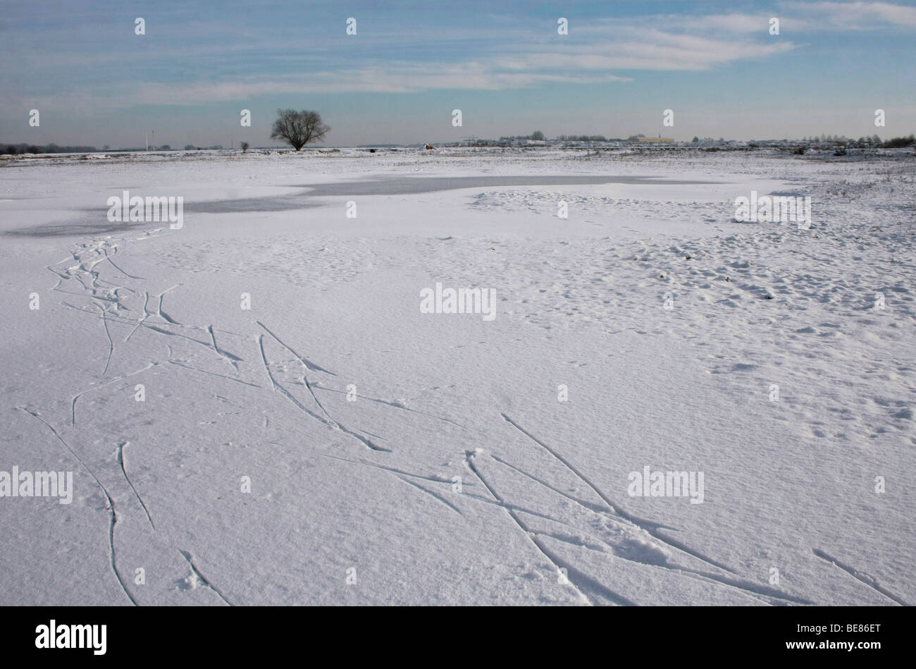Uiterwaarde Waal Foto Stock