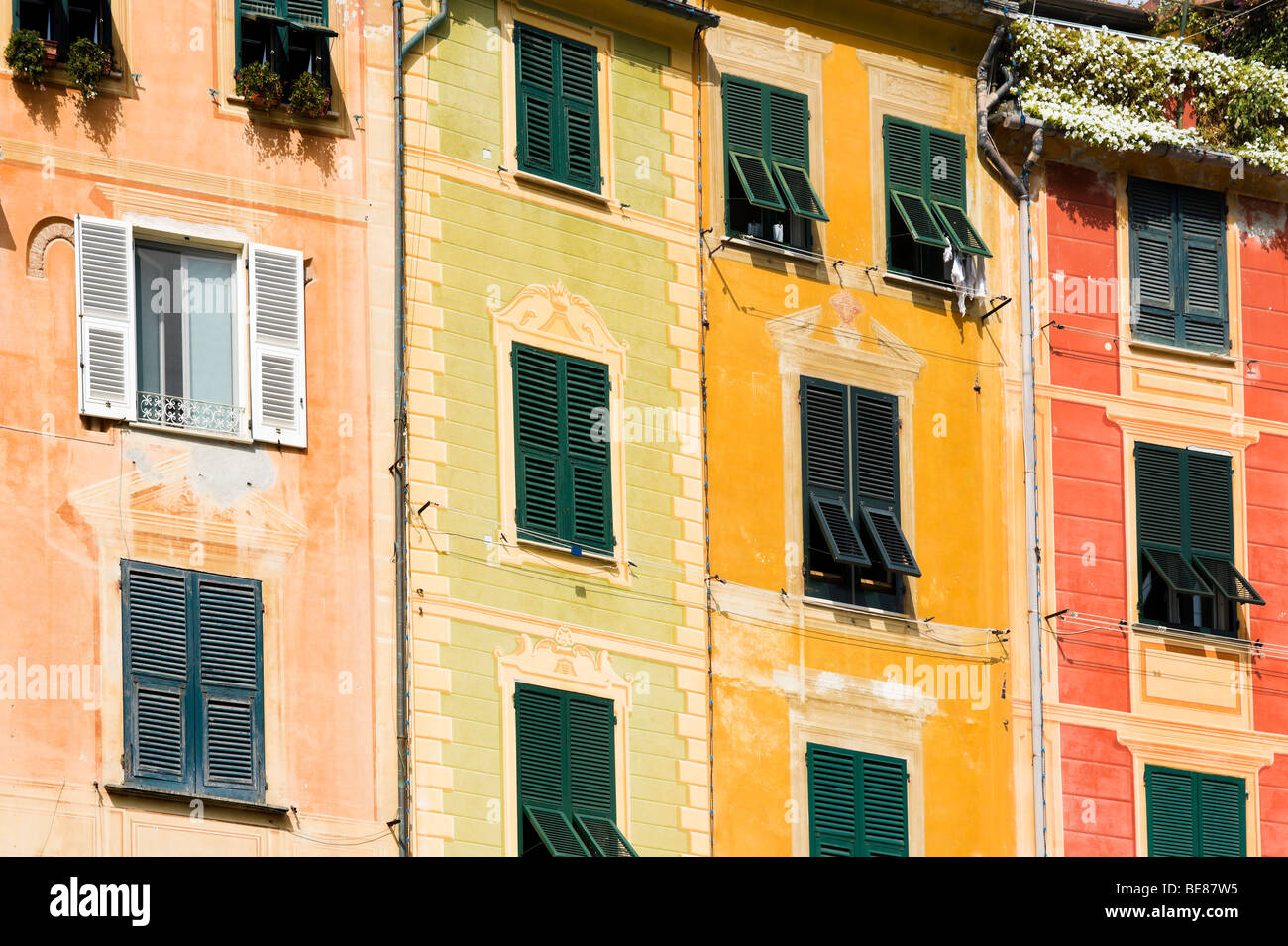 Dipinte in colori pastello case sul porto a Portofino, Golfo del Tigullio, Riviera Ligure, Liguria, Italia Foto Stock