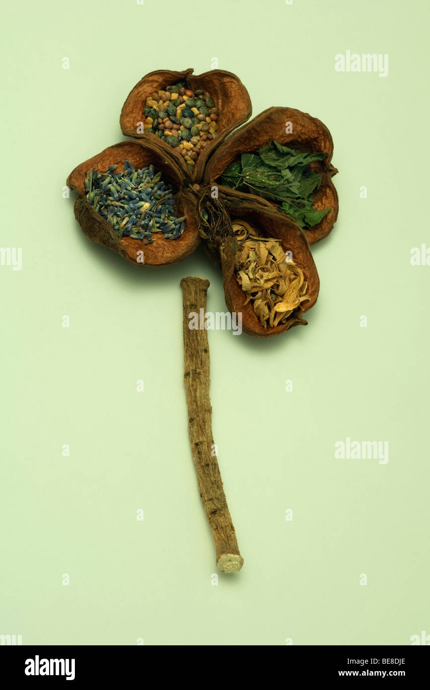 Le erbe aromatiche essiccate e le lenticchie disposti su lolla a forma di fiore Foto Stock
