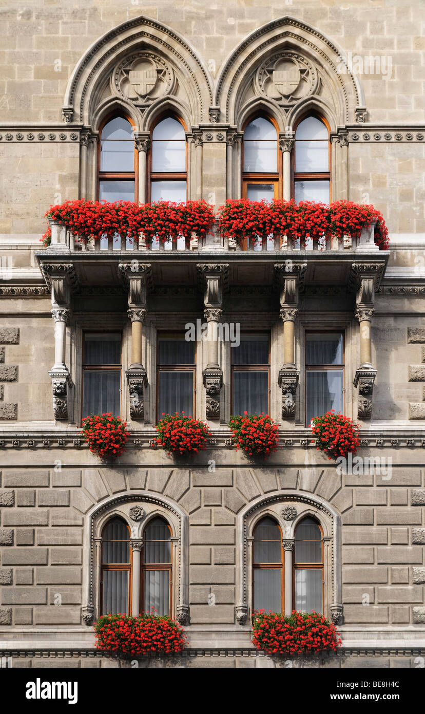 Fioriere con il rosso dei gerani sulla facciata del municipio di Vienna, Austria, Europa Foto Stock