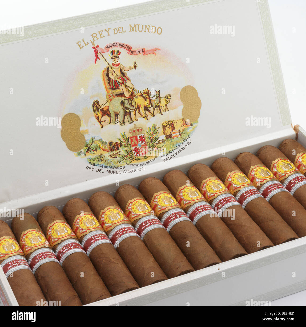 Una scatola di sigari Avana. Foto Stock