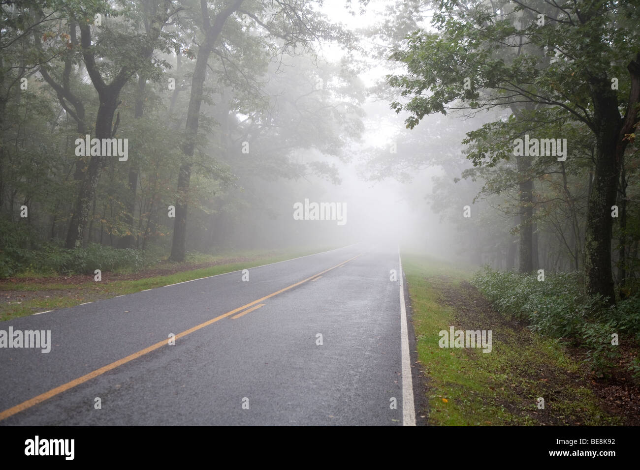 Parco Nazionale di Shenandoah, Virginia - La Skyline Drive in foggy meteo. Foto Stock
