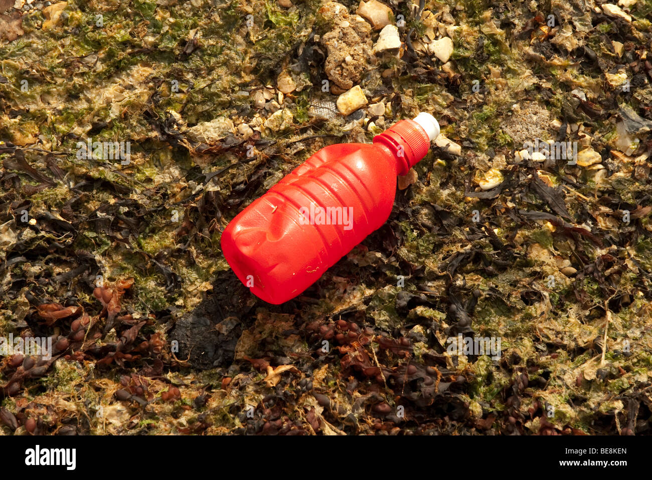 Bottiglia di plastica rossa e rifiuti lavati sulla spiaggia Foto Stock