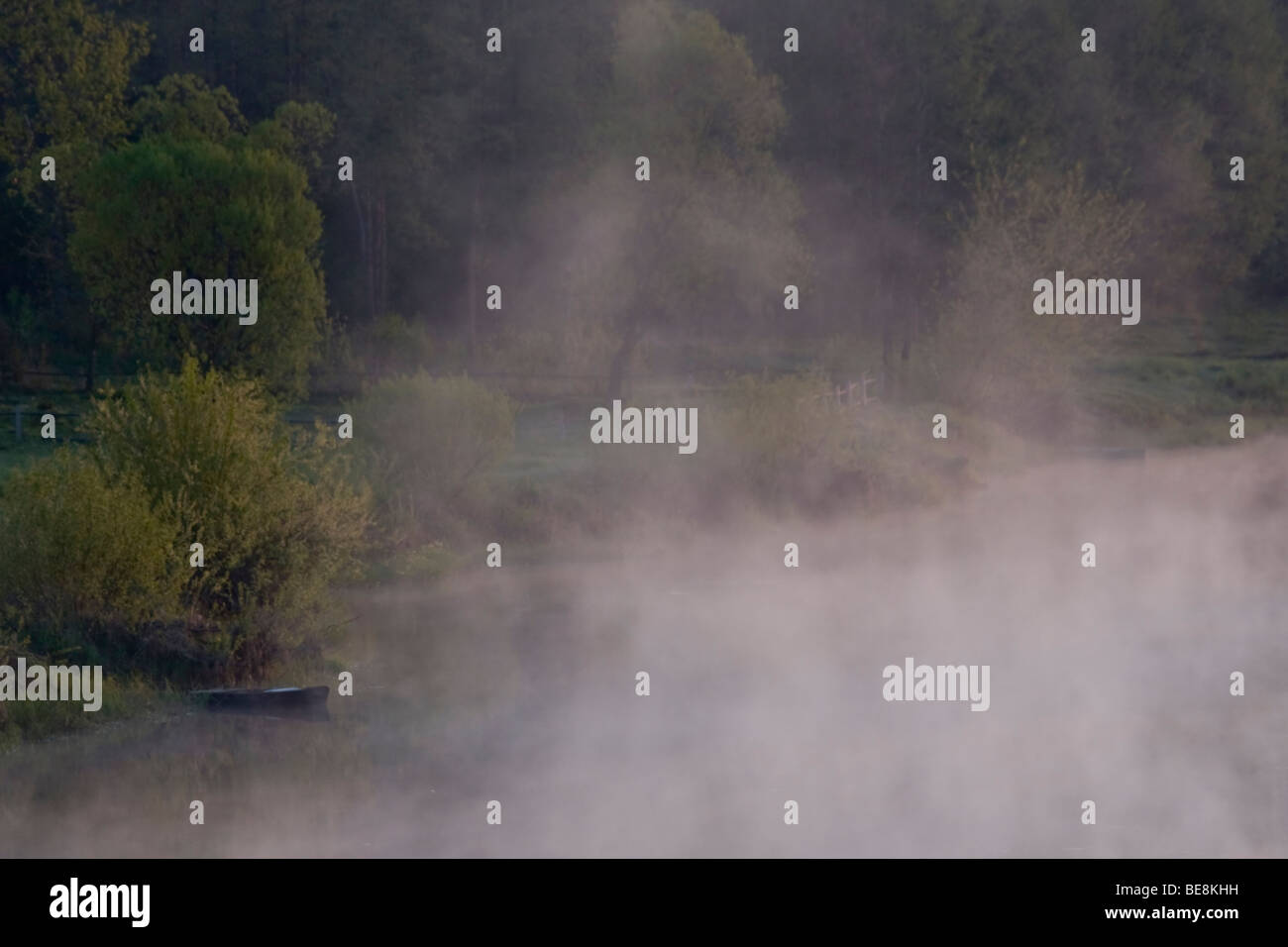 Kleine vissersbootjes in de la nebbia in het voorjaar aan de Biebrza Polen, piccole barche per i pescatori in primavera presso il Biebrza Polonia Foto Stock