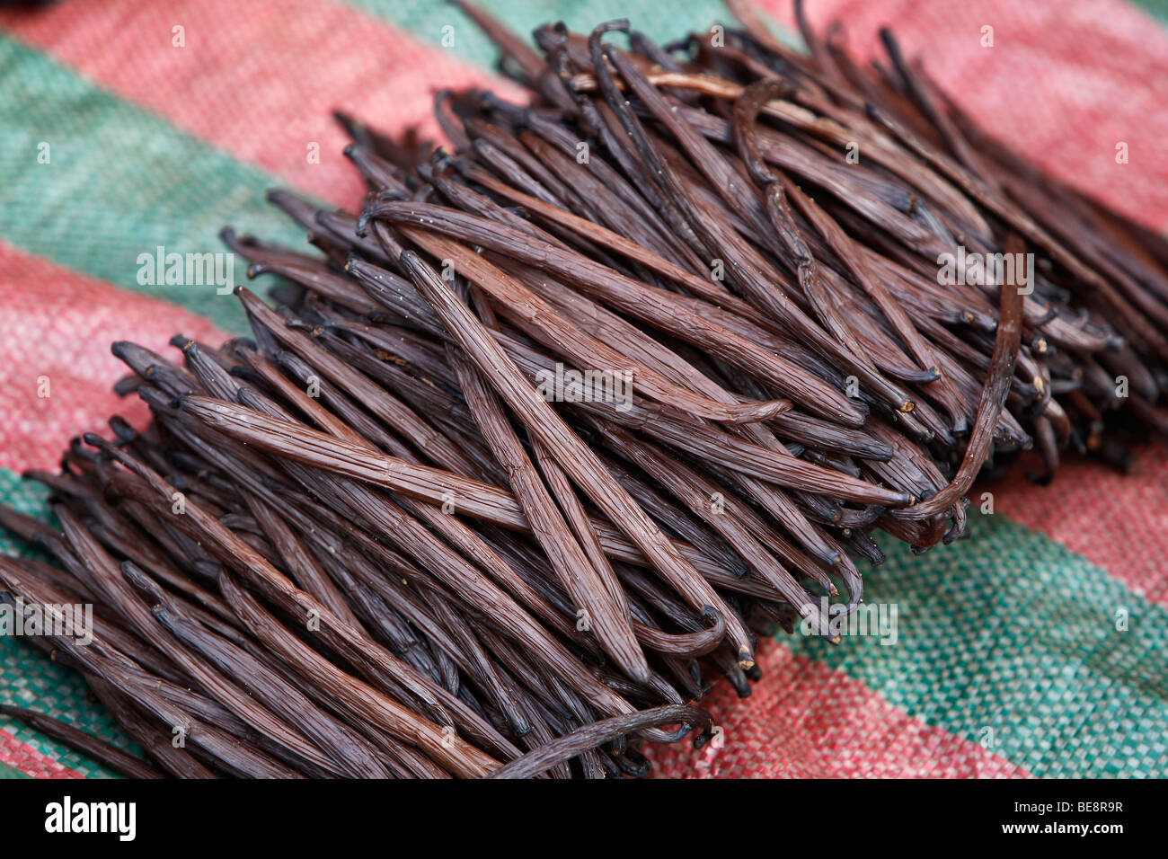 Le capsule di vaniglia (Vanilla planifolia) essiccazione, Manakara, East Coast, Madagascar, Africa Foto Stock