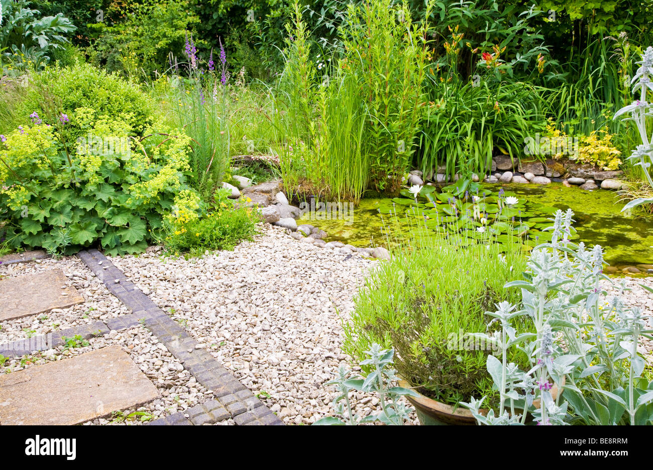 Un angolo della fauna selvatica accogliente giardino in ramoscelli di giardini in Swindon, Wiltshire, Inghilterra, Regno Unito Foto Stock