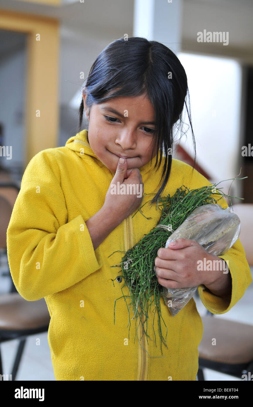 CAJABAMBA PERÙ - 6 settembre: bambina vendita al mercato locale, Perù il 6 settembre 2009 Foto Stock