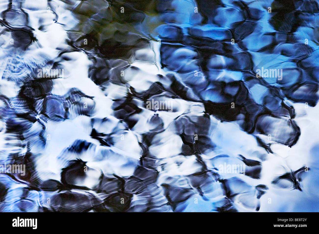 Blauwe reflecties van bomen in het acqua; riflessi blu di alberi in acqua Foto Stock