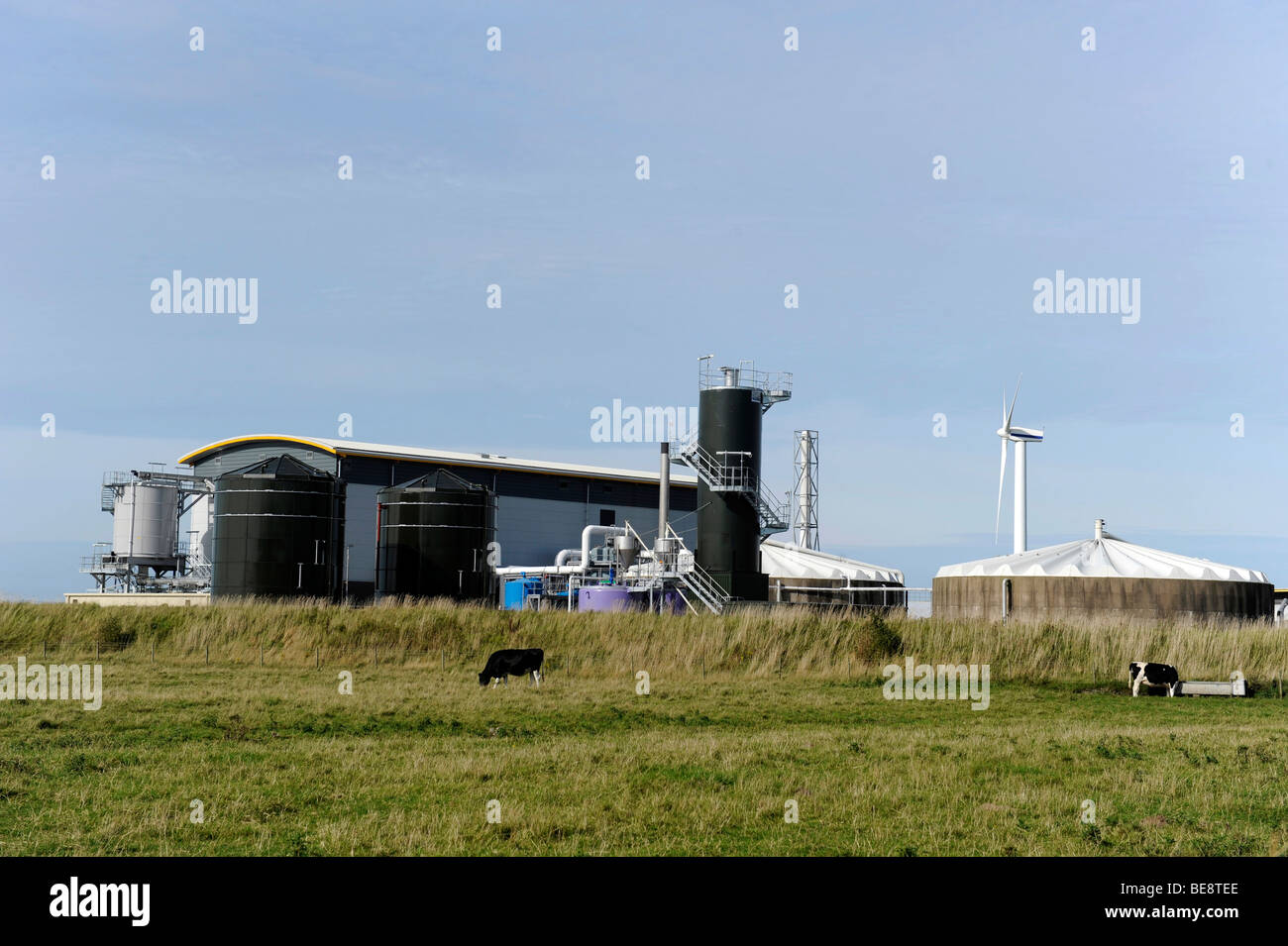 United Utilities delle acque reflue e il trattamento delle acque reflue impianto, Siddick, Flimby, Workington, Cumbria Foto Stock