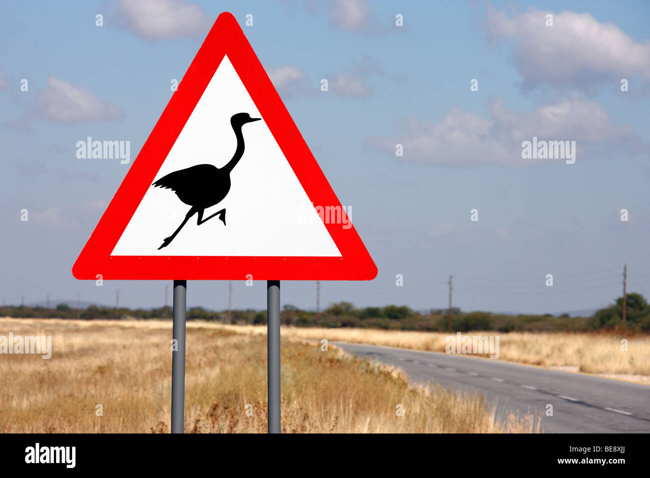 Pericolo " struzzo" cartello stradale nel nord della Namibia Foto Stock