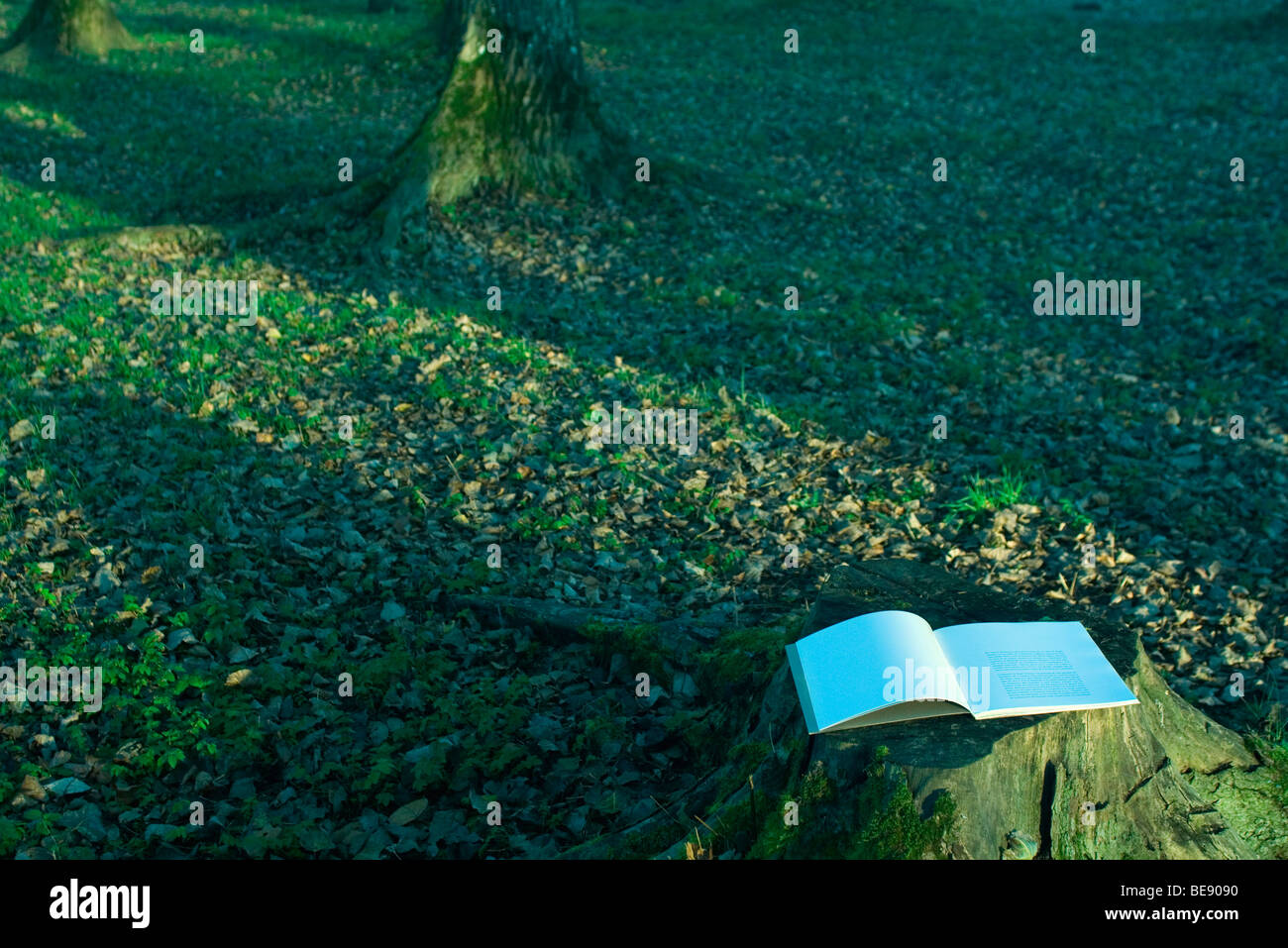 Aprire il libro che giace sul ceppo di albero Foto Stock