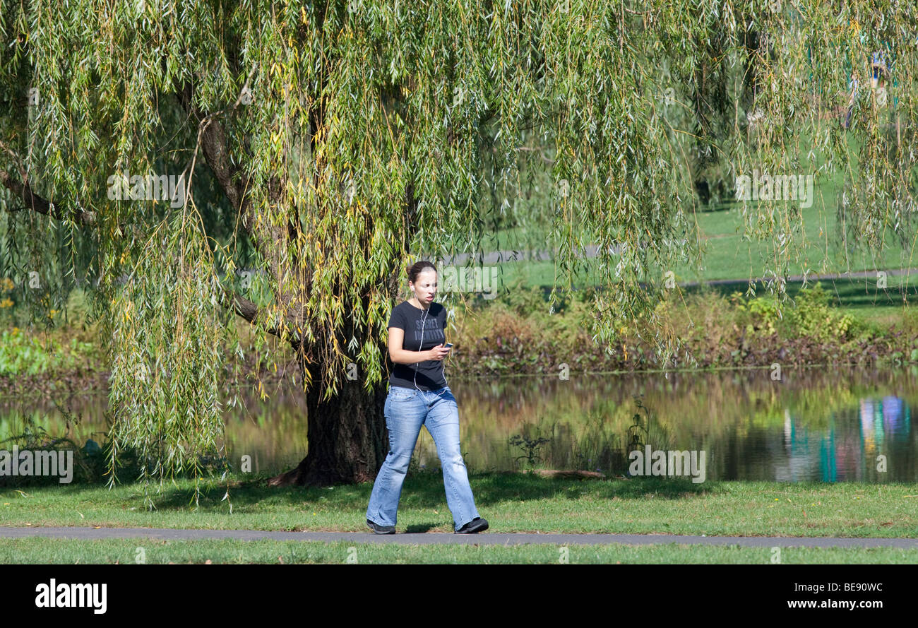 Una donna femmina di camminare su un percorso nido a un salice piangente con il suo ipod in mano. Foto Stock