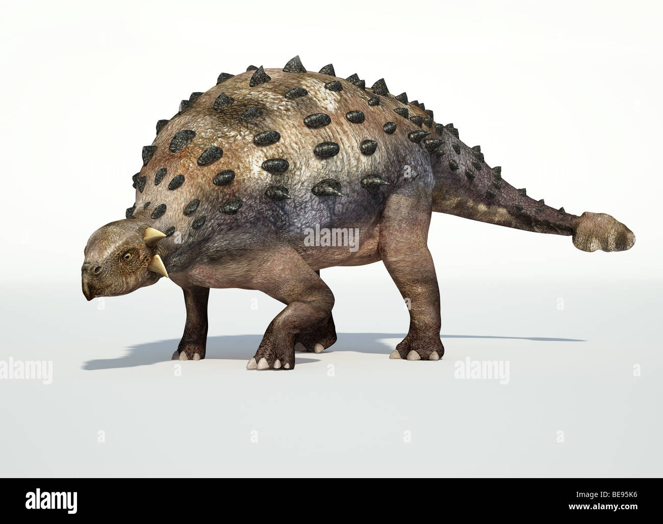 Ankylosaurus 3d rendering fotorealistico, con caduta ombra sulla superficie bianca. Foto Stock