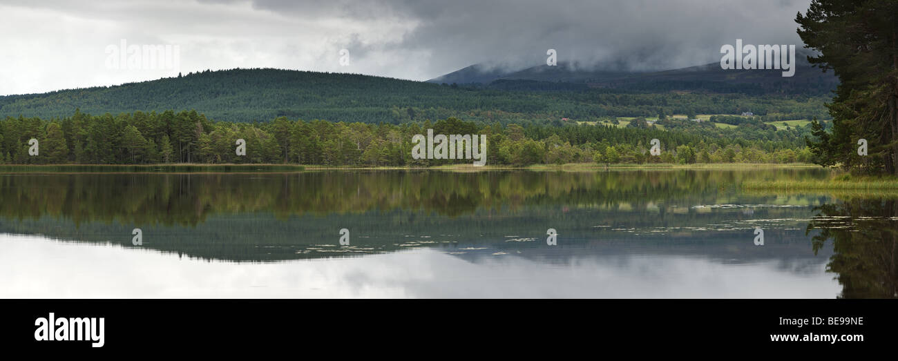 Cairngorm montagne e Abernethy Forest si riflette nella superficie del Loch Garten vicino a Boat of Garten, Cairngorms National Park Foto Stock