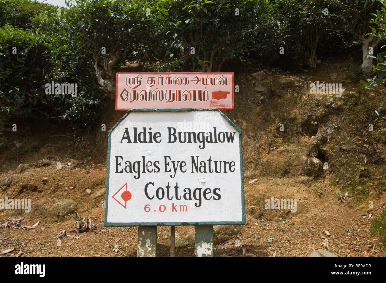 La piantagione di tè Segno bordo Bogawantalawa, Sri Lanka Foto Stock