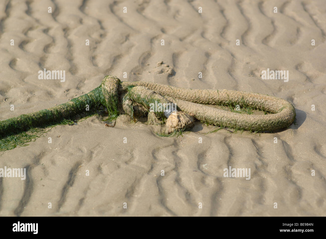 La corda su di una spiaggia di sabbia Foto Stock