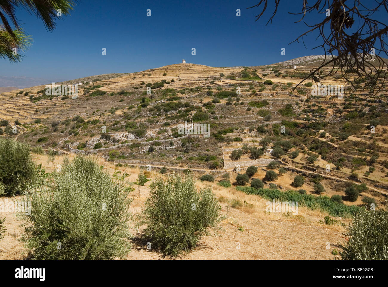 Mulino a vento sormontato colline terrazzate che circondano il villaggio di Lefkes, isola di Paros, Grecia Foto Stock