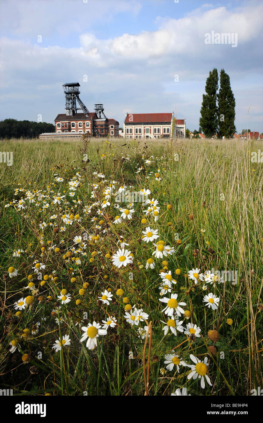 Oignies (62) : 'fossato 9/9 bis" Foto Stock