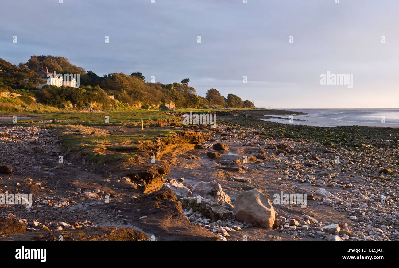 Luce della Sera in tutta la spiaggia a Silverdale, Morecambe Bay, Lancashire Foto Stock