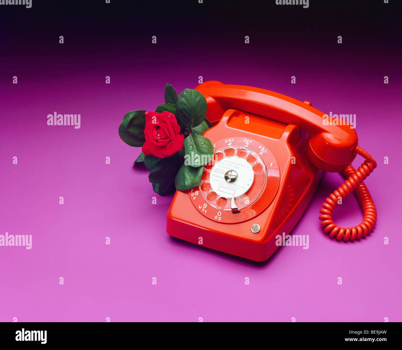 Telefono vintage 1970s rosso con rosa rossa Foto Stock