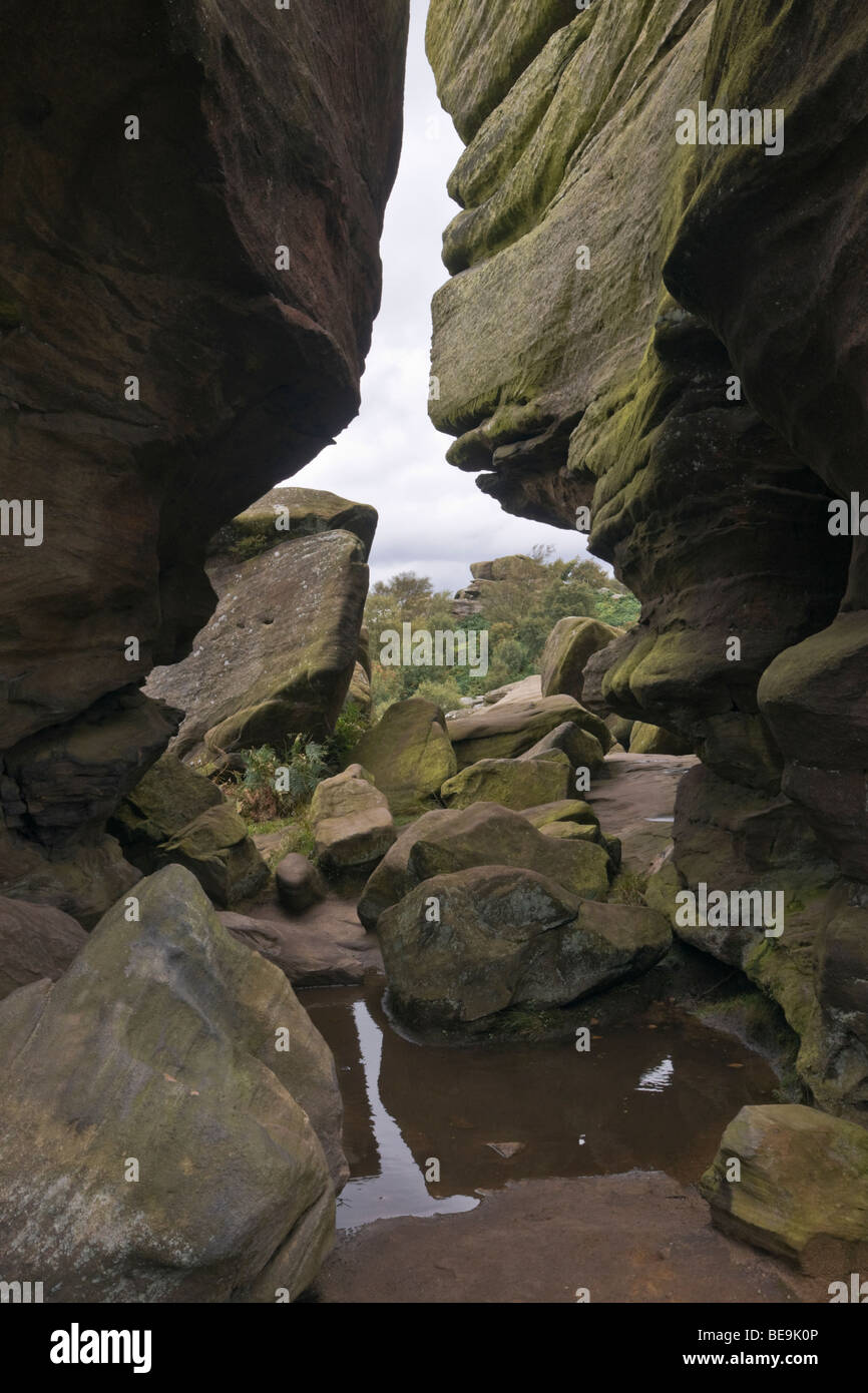 Le formazioni rocciose a Brimham rocks, North Yorkshire Foto Stock