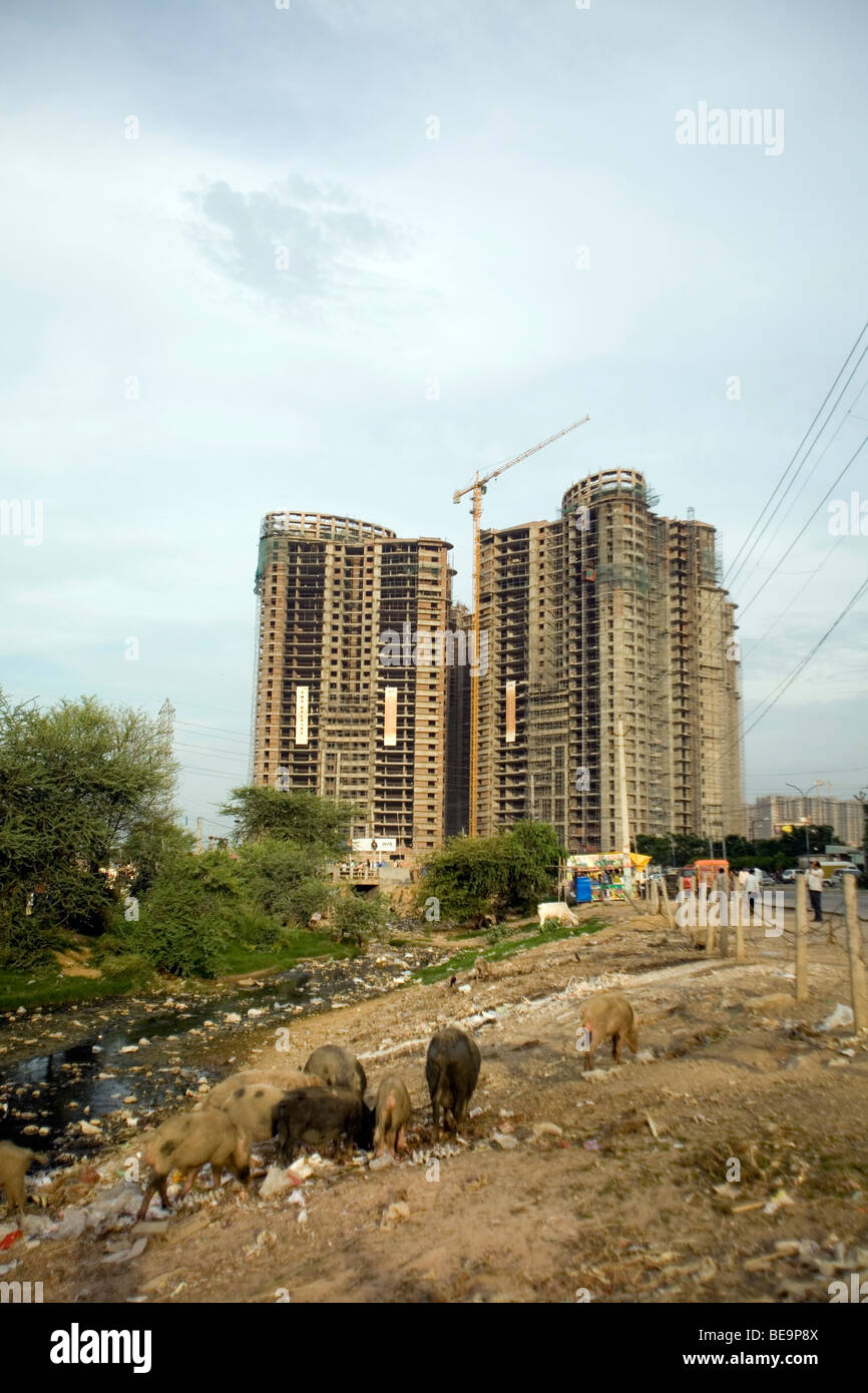 Costruire baracche di lavoratori, un tombino aperto e suini di fronte ad una nuova costruzione in Gurgaon, India Foto Stock