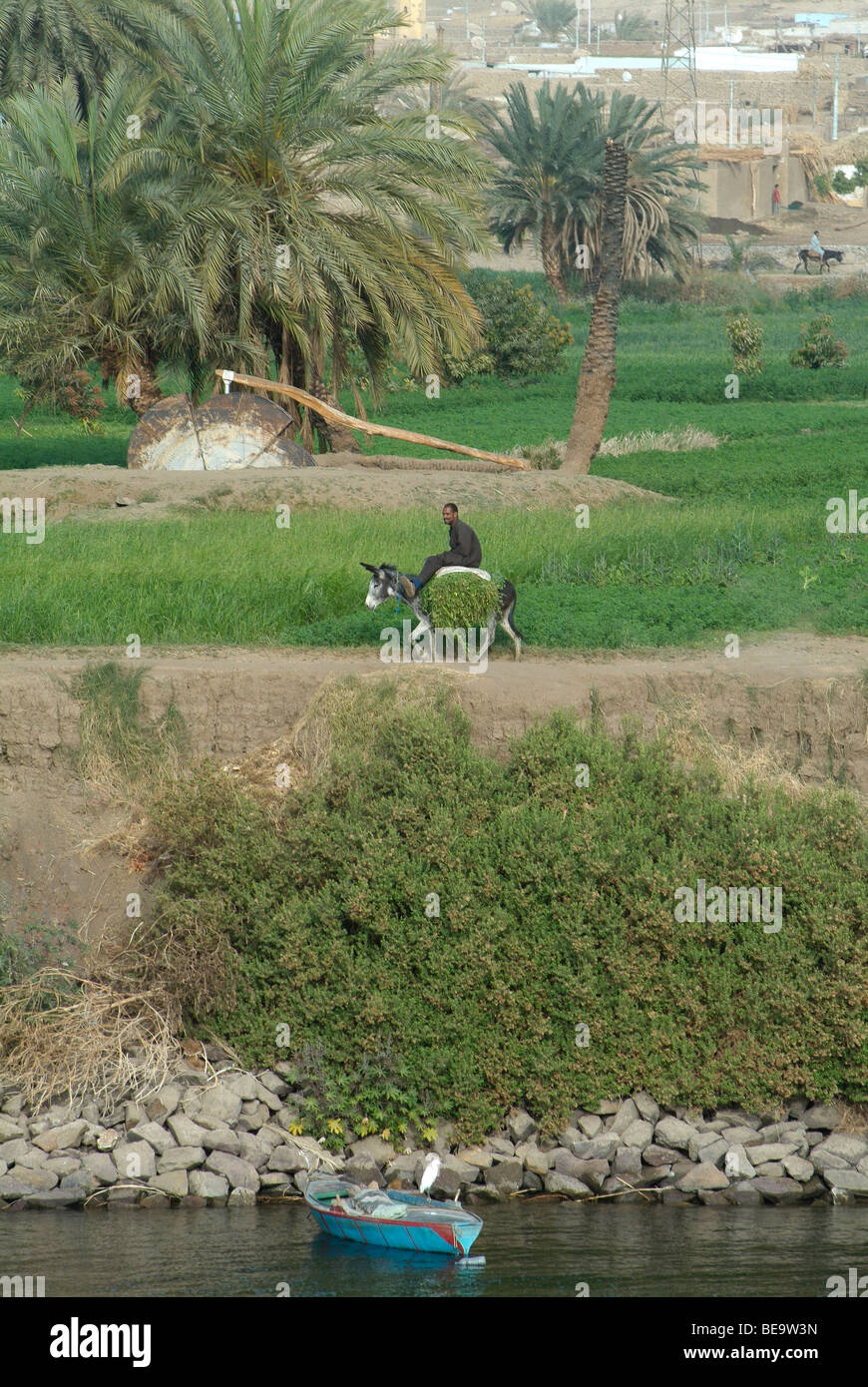 Uomo che cavalca un asino sulla limoso rive del Nilo in Egitto Foto Stock