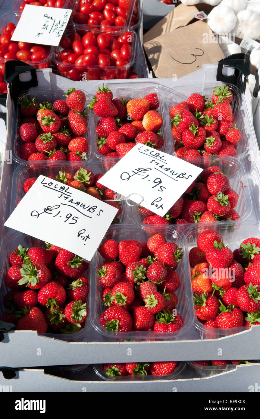 Fragole locali in vendita nel corso di Ludlow Food Festival Shropshire Foto Stock