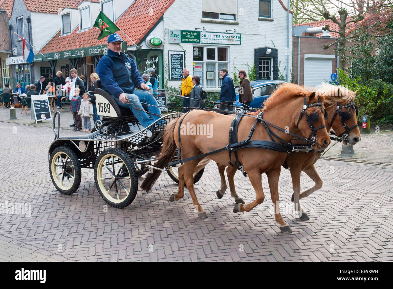 Una carrozza a cavallo aziona attraverso l'olandese North Sea resort città di Burgh-Haamstede. Foto Stock