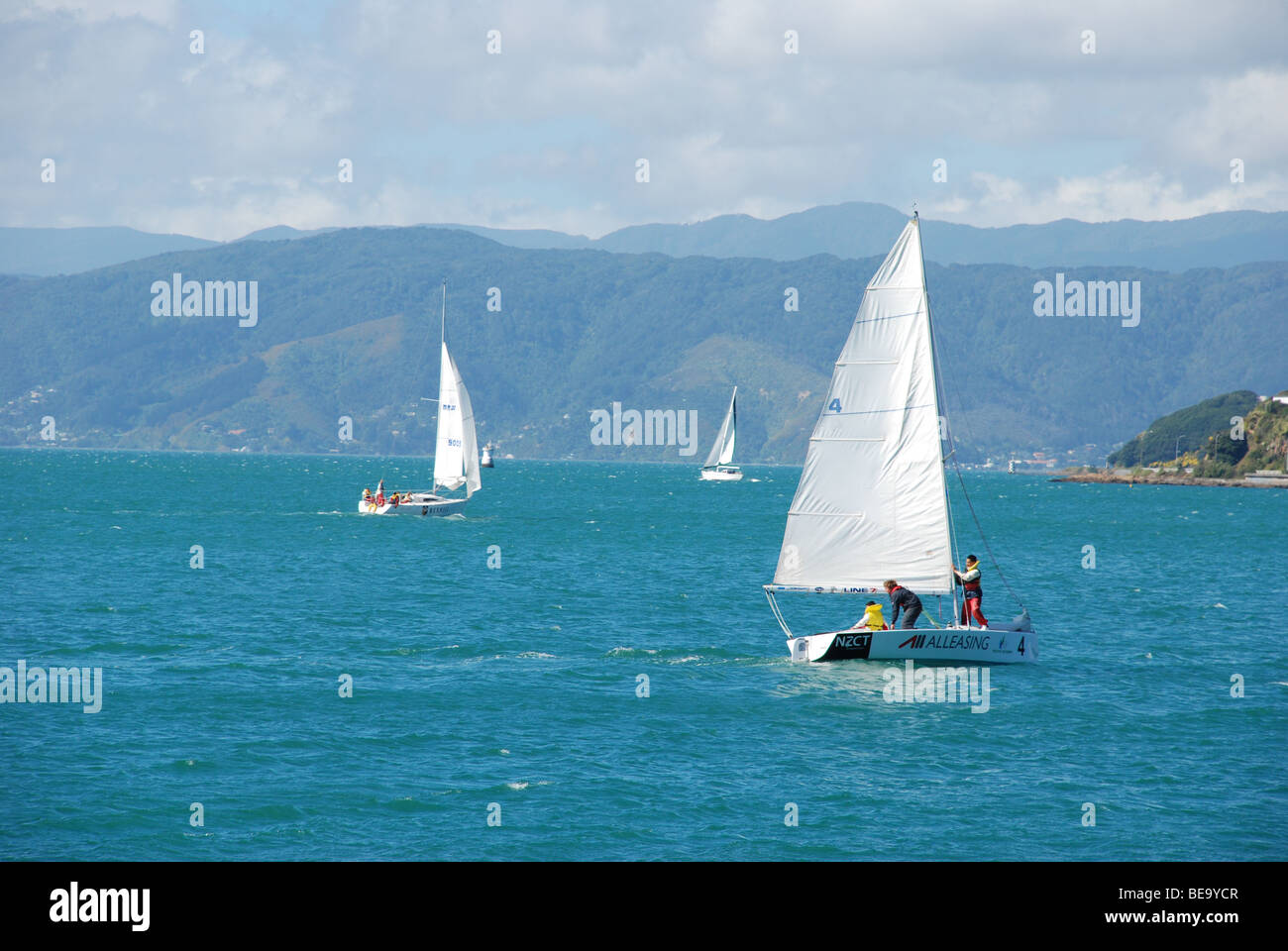Gli equipaggi imparare a navigare sul porto di Wellington, il Wellington waterfront / Harbour, Nuova Zelanda Foto Stock