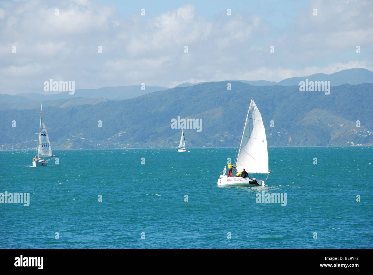 Gli equipaggi imparare a navigare sul porto di Wellington, il Wellington waterfront / Harbour, Nuova Zelanda Foto Stock