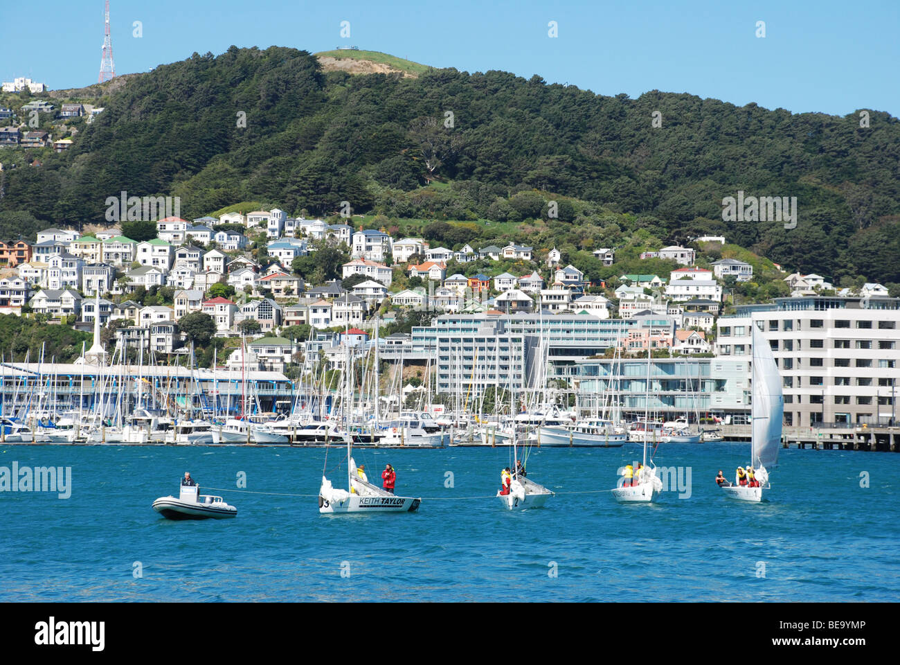 Gli equipaggi imparare a navigare sul porto di Wellington, Wellington waterfront , Nuova Zelanda Foto Stock