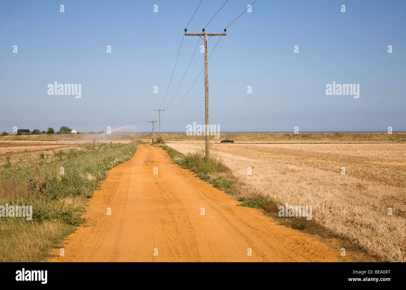Pista di sabbia attraverso i campi, Hollesley, Suffolk, Inghilterra Foto Stock