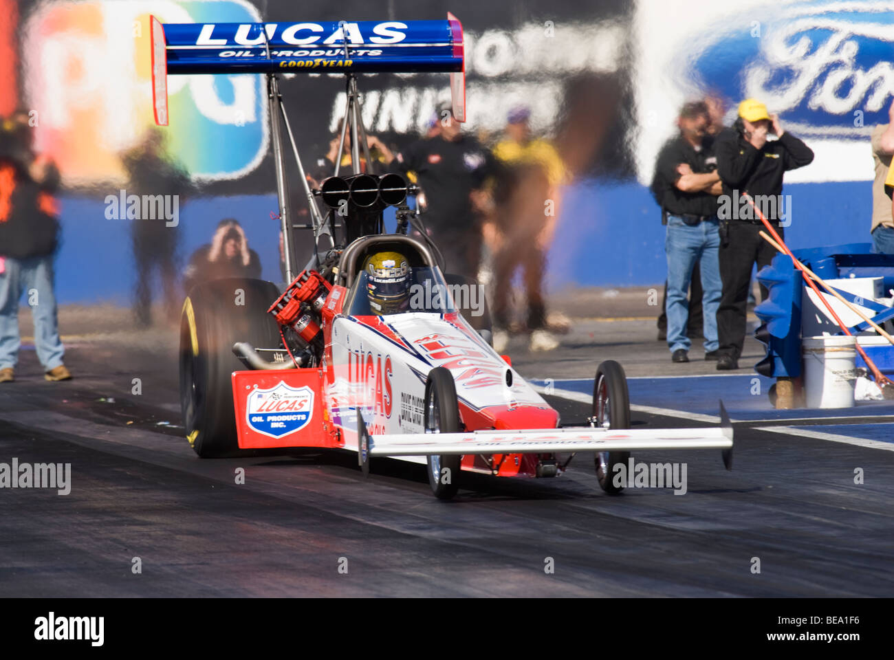 Morgan Lucas nel 2008 NHRA Prove Cronometrate azione a Firebird International Raceway, Chandler, Arizona, Stati Uniti d'America Foto Stock